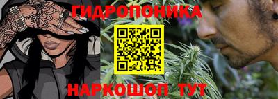 гашик Бузулук
