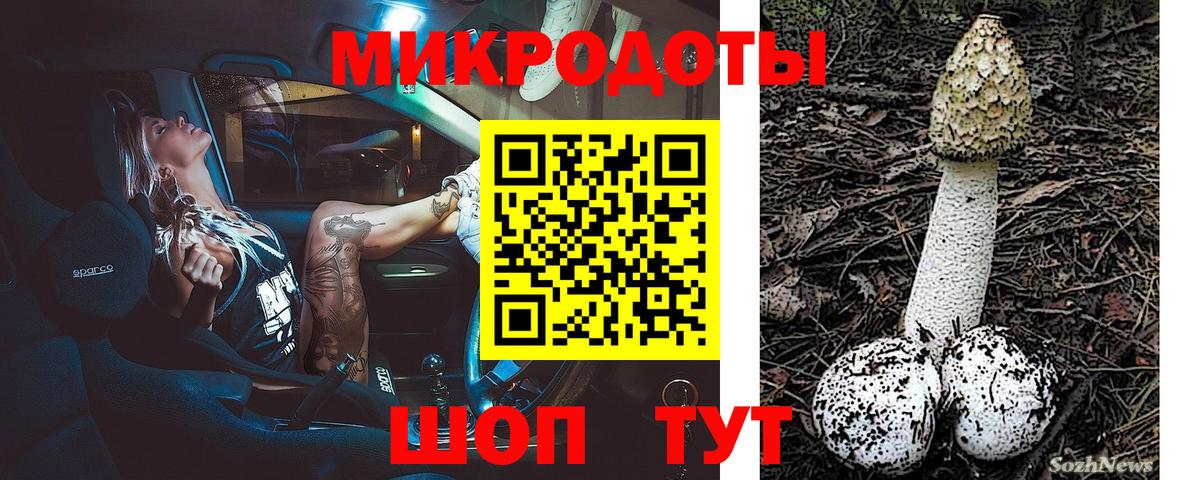 Тихвин  Галлюциногенные грибы Psilocybe  Вход с VPN  Псилоцибиновые грибы MAGIC MUSHROOMS 