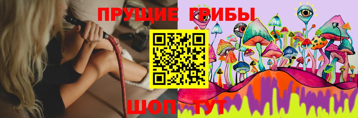 Галлюциногенные грибы прущие грибы Тихвин